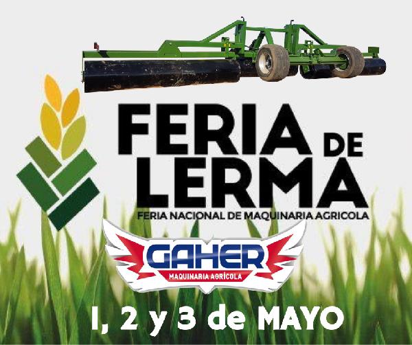 Feria de LERMA