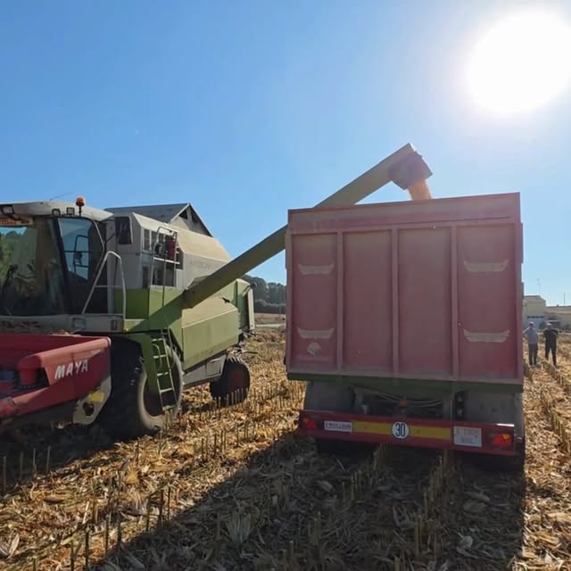 ¡Rendimiento que se nota en cada jornada!...