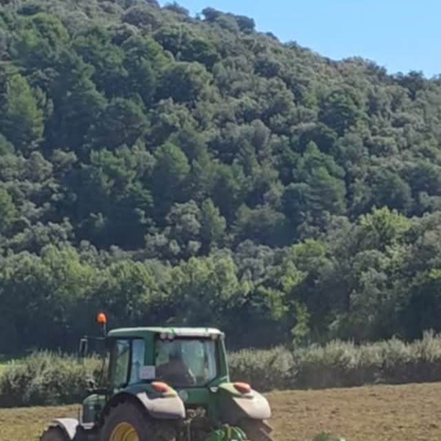 ¿Quieres ver cómo preparamos el terreno con...