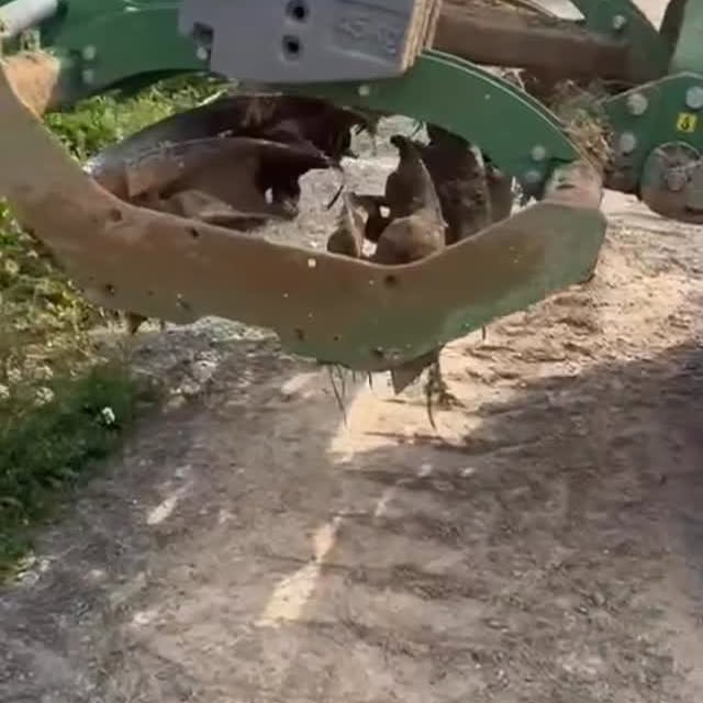 Dia interessant provant el rodet Doble Cut 2m a...