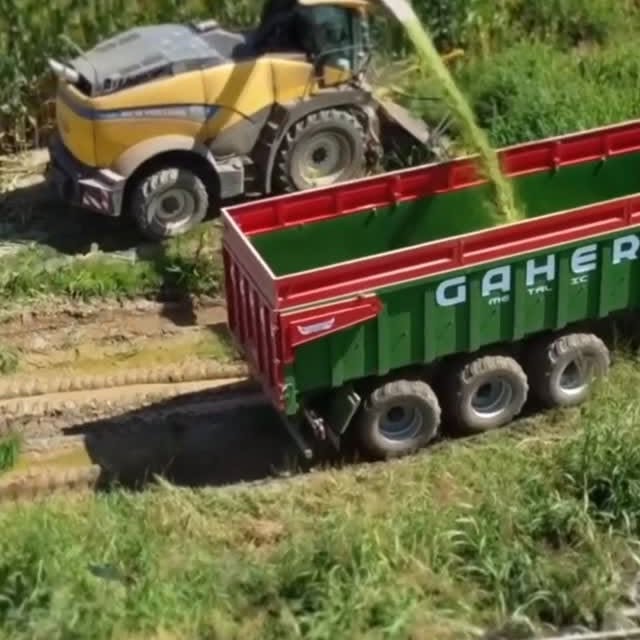 🌾🚛 La cosecha ya está en marcha y en GAHER...